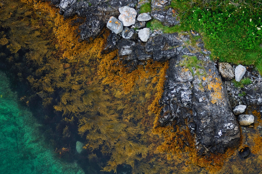 Auch in Norwegen, dem Land der Fjorde, kann man hervorragend tauchen