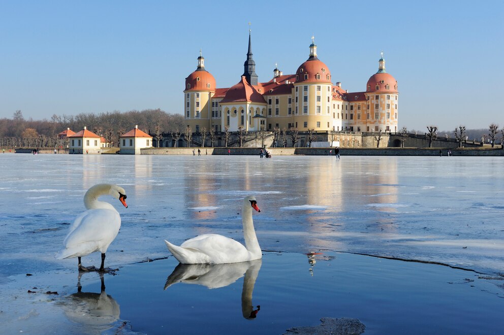 Schloss Moritzburg nahe Dresden