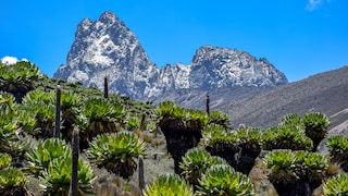 Blick auf den Mount Kenya