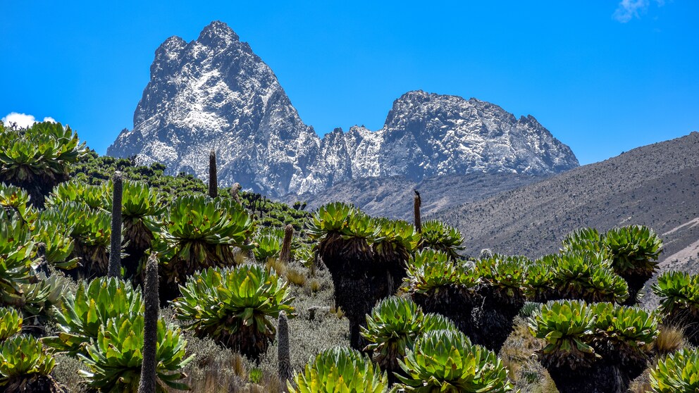 Blick auf den Mount Kenya