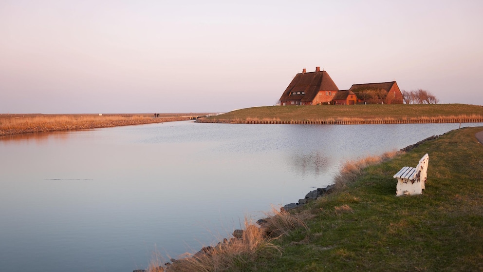 Hallig Hooge