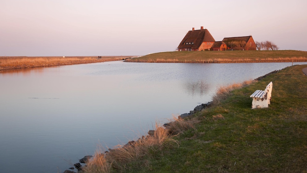 Hallig Hooge