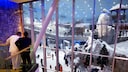Ski Dubai at the Mail of Emirates Dubai United Arab Emirates