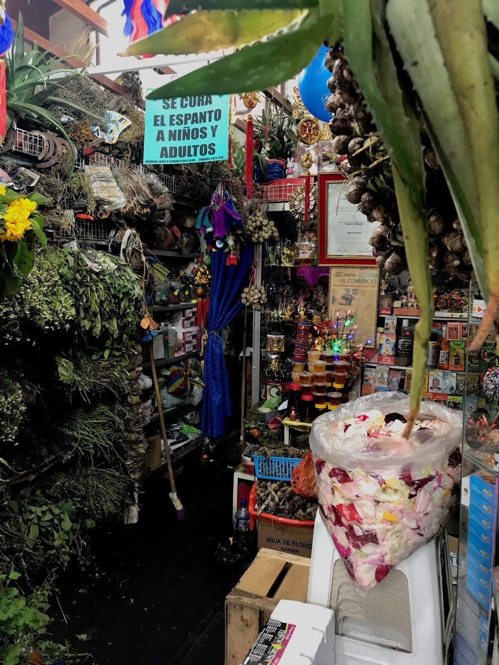 In einem Laden wie diesem bieten Heilerinnen in Quito Reinigungen an