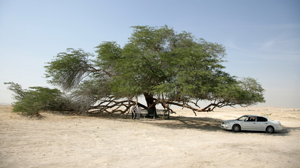 Bahrain