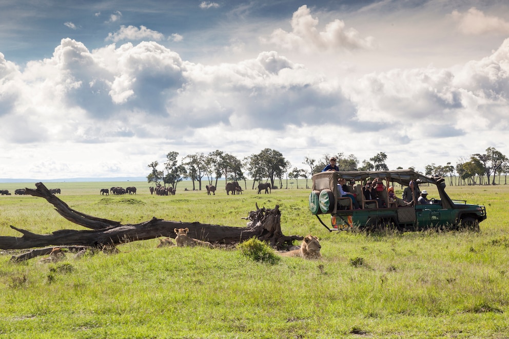 Masai Mara, Kenia