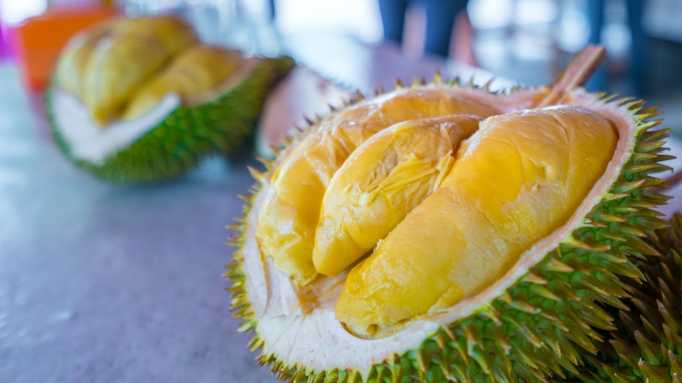 das Innere der Durian