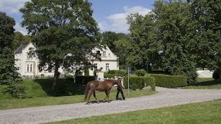 Gutshof Dalwitz