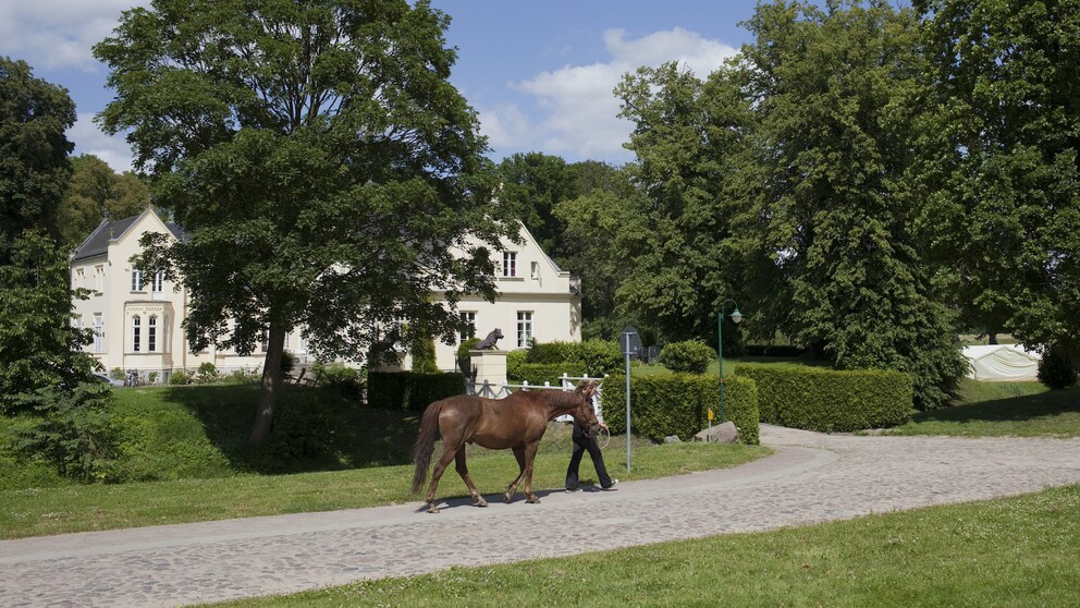 Gutshof Dalwitz