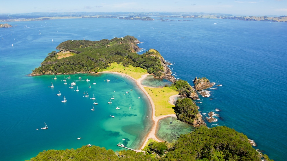 Das Wasser der Bay of Islands sieht beinahe karibisch aus, insgesamt gibt es 144 Inseln