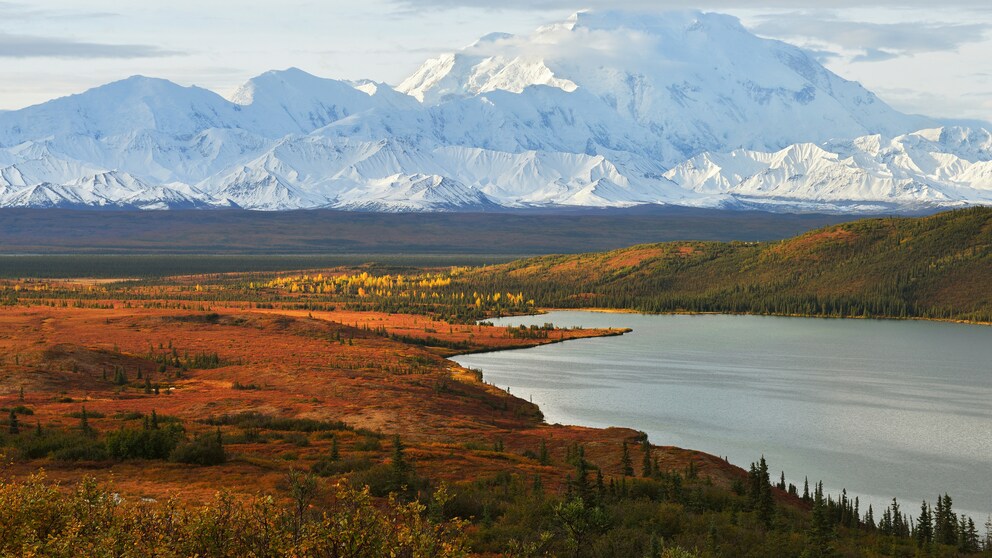 Blick auf den Denali