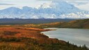 Blick auf den Denali