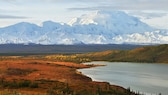 Blick auf den Denali