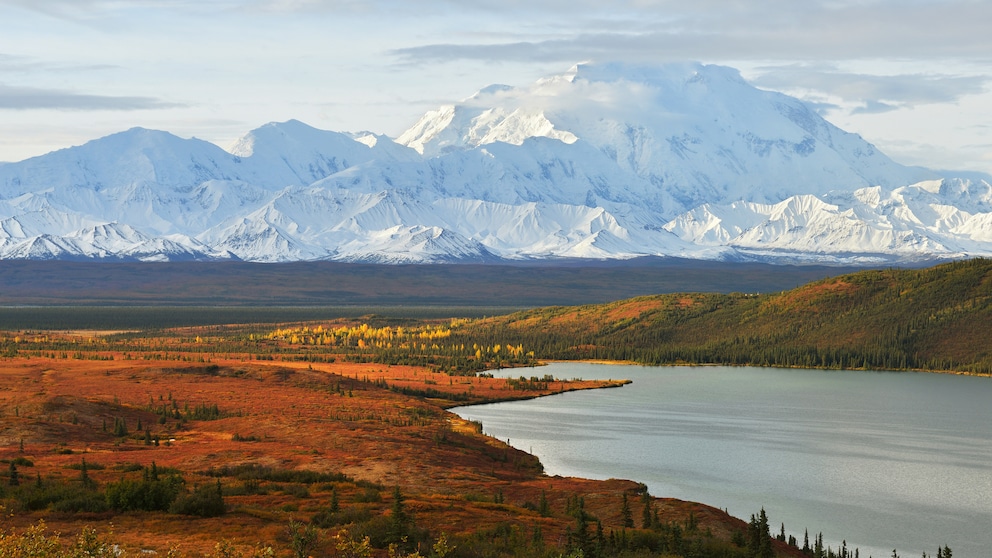 Blick auf den Denali