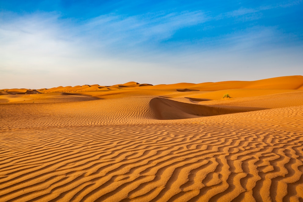 Oman Wüste