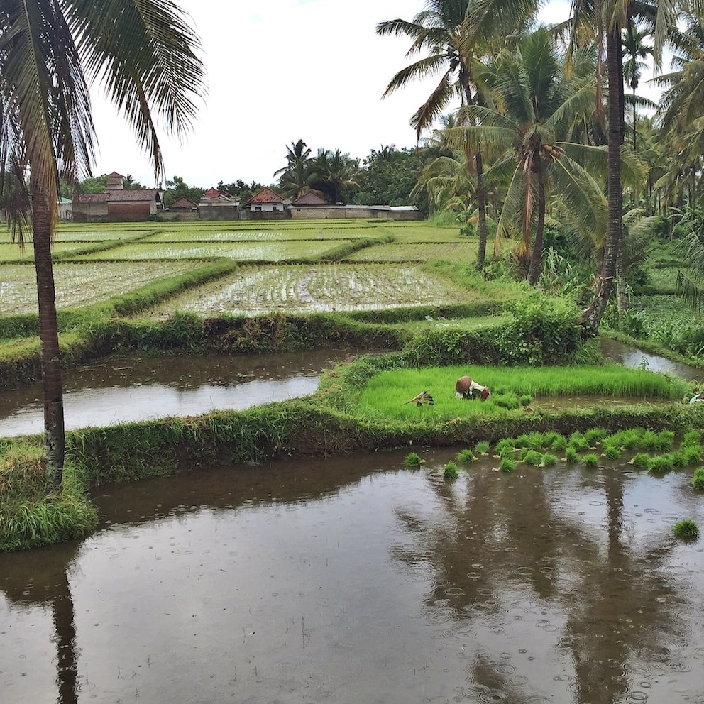 Regen auf Lombok