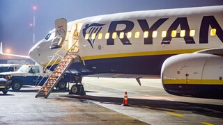 Ryanair Rubbellose