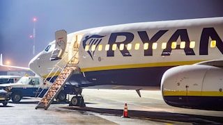 Ryanair Rubbellose