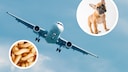 Flugzeug Collage