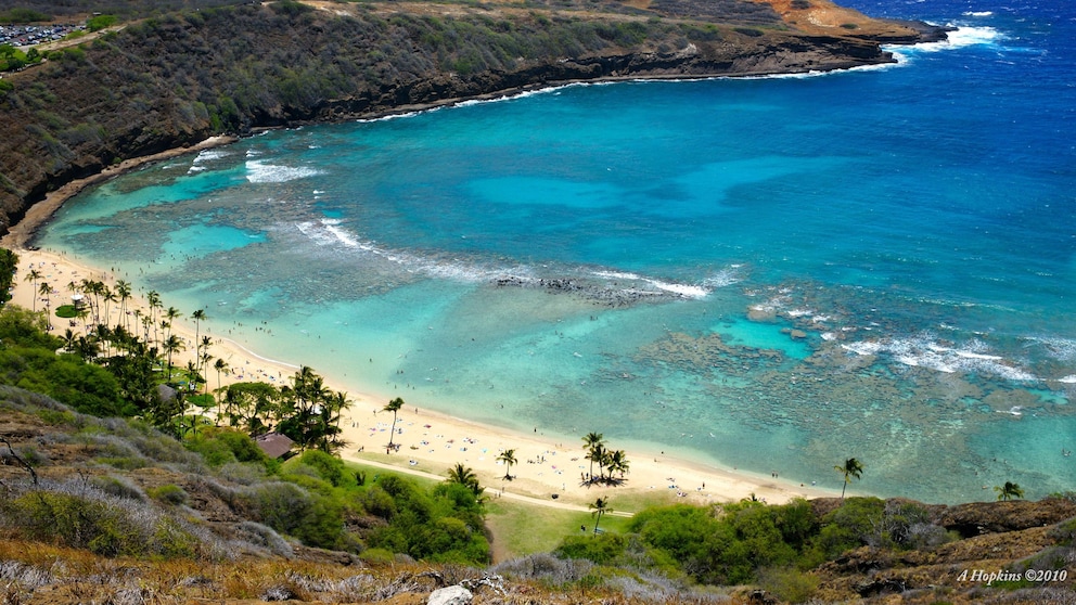 Die Hanauma Bay ist eine der berühmtesten Buchten auf der hawaiianischen Insel Oahu