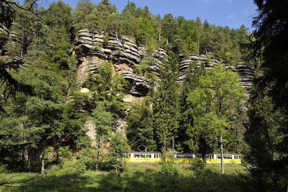 Die Kirnitzschtalbahn fährt seit 1898 durch den Nationalpark Sächsische Schweiz