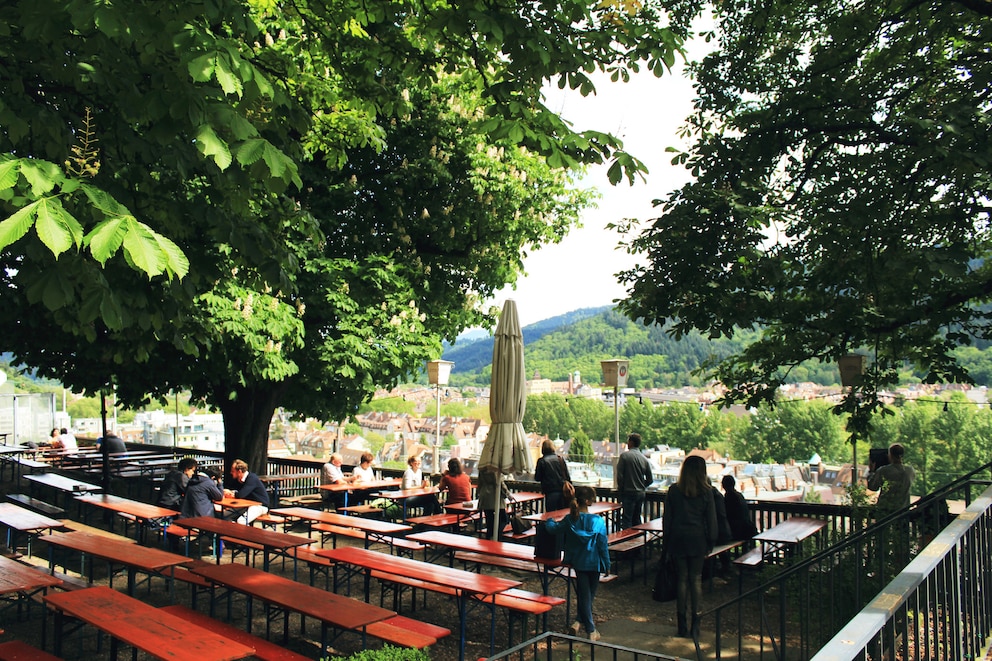 Vom Kastaniengarten aus blickt man über Freiburg