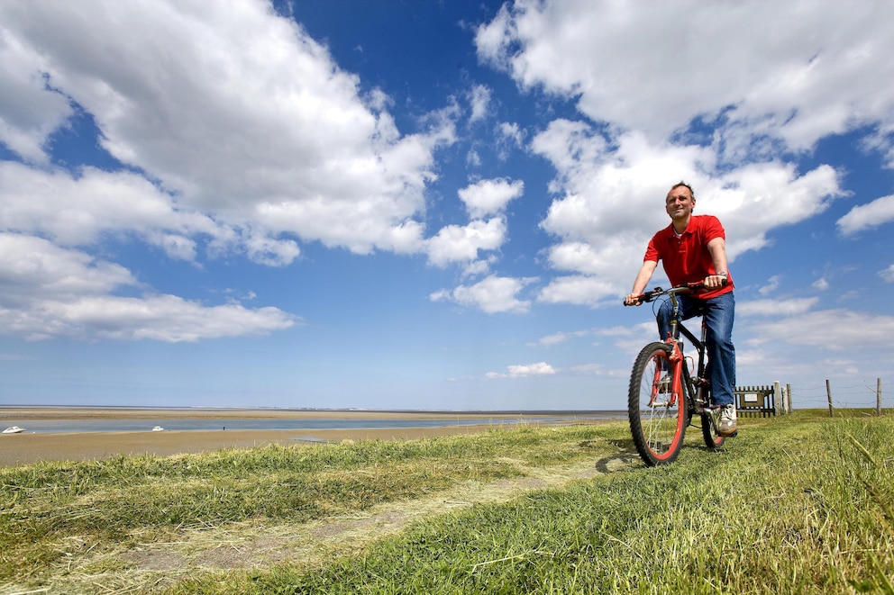 Föhr, Radfahren