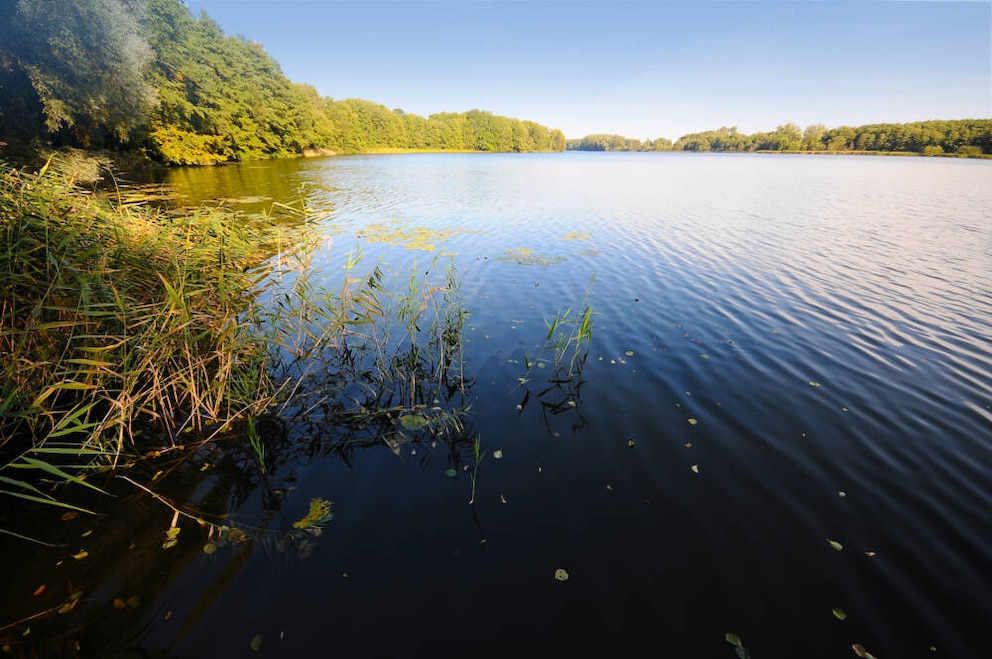 Uckerseen
