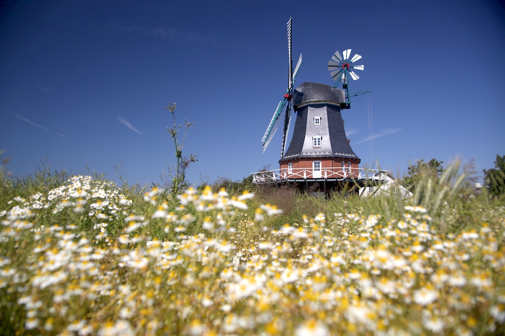 Die Zeit scheint manchmal stillzustehen auf Föhr - wie hier an der Borgsumer Mühle im Südwesten der Nordseeinsel