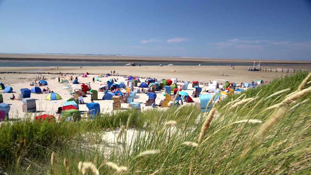 Föhr