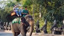 Elefantenreiten Angkor Wat