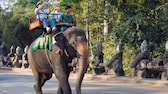 Elefantenreiten Angkor Wat