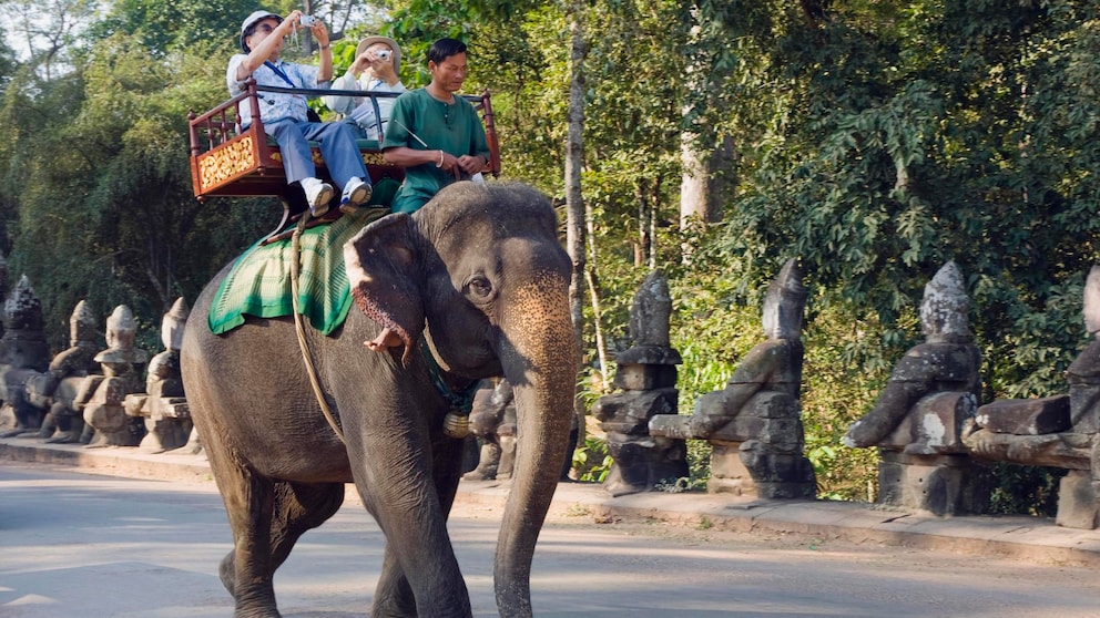 Elefantenreiten Angkor Wat