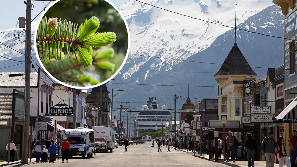 Alaska Skagway