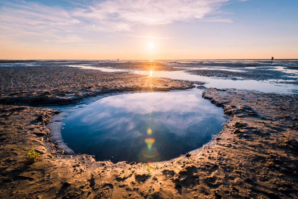 Incredibly impressive: the Wadden Sea