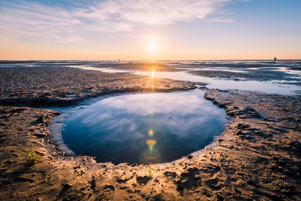 Unglaublich beeindruckend: das Wattenmeer