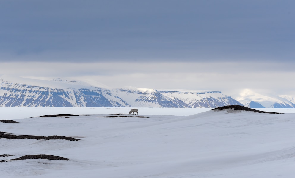 Spitzbergen Landschaft