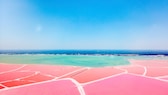 Mexiko, Yucatan, Las Coloradas, Pink Lake salt lake