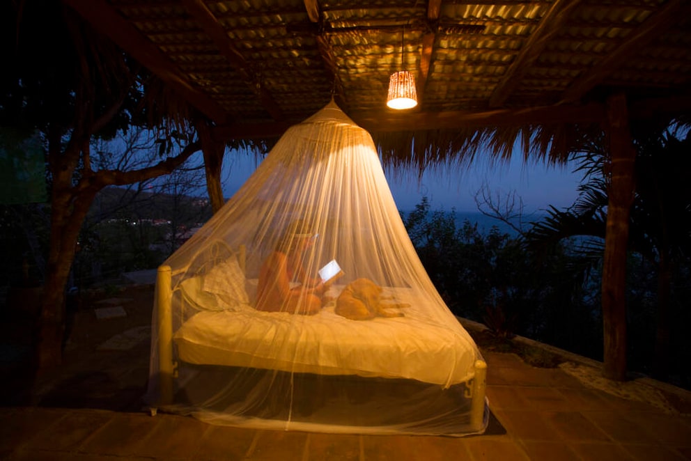 Mosquito net