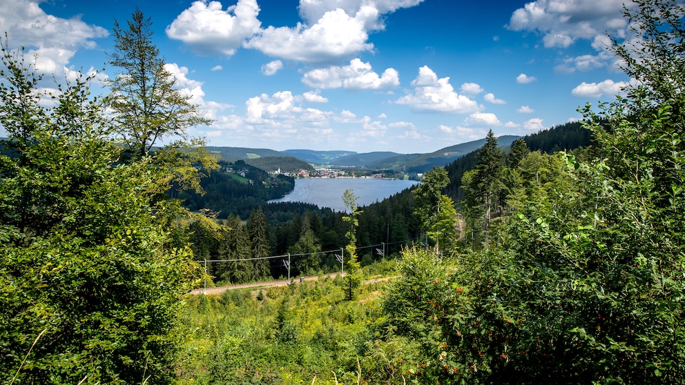 Aussicht auf den Titisee im Hochschwarzwald i
