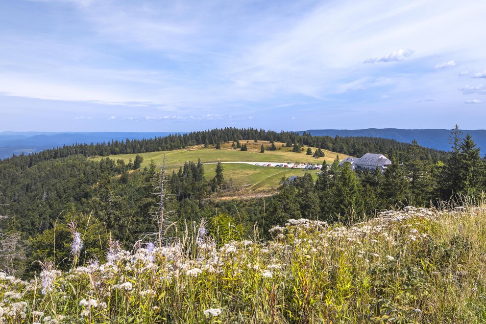 Schwarzwald