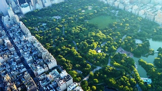 Manhattans Central Park in New York