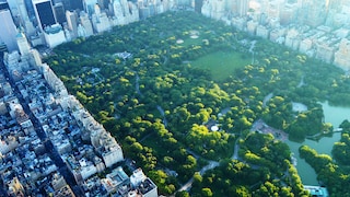 Manhattans Central Park in New York