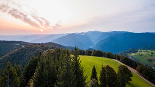 Schwarzwald