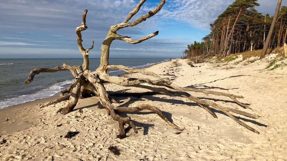 Der Weststrand ist herrlich naturbelassen
