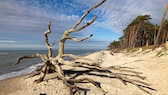 Der Weststrand ist herrlich naturbelassen