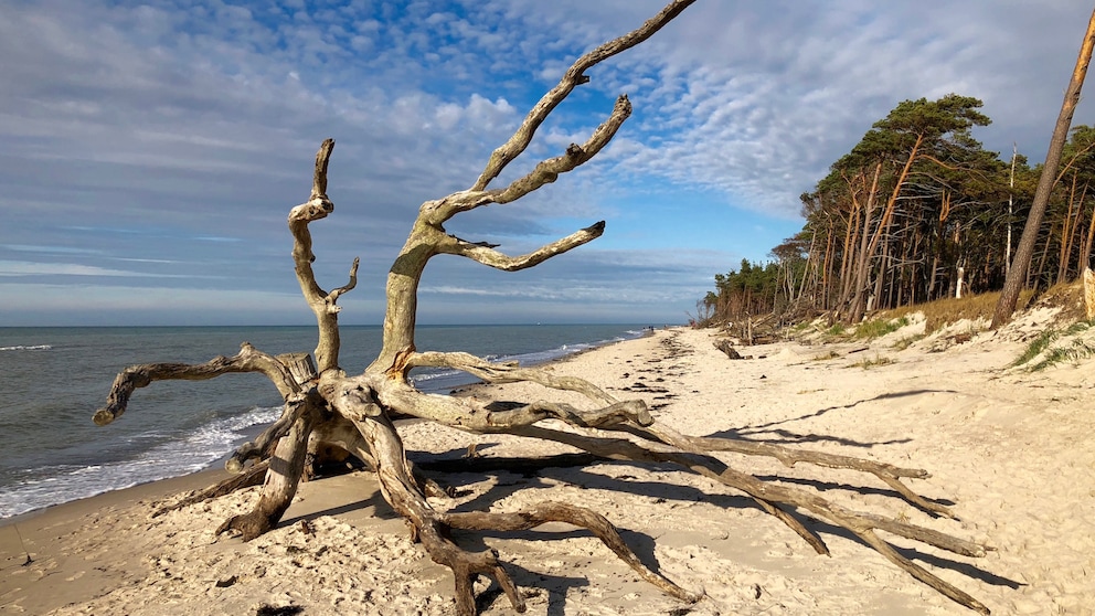 7 Dinge, die du an der Ostsee unbedingt tun solltest!