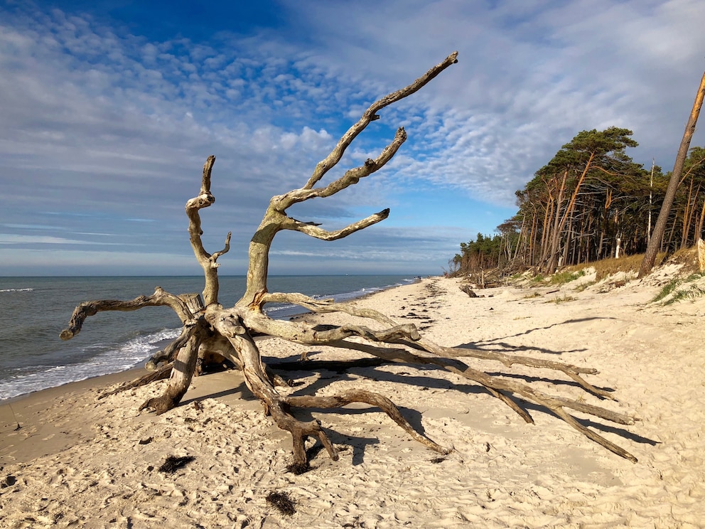 Der Weststrand ist herrlich naturbelassen