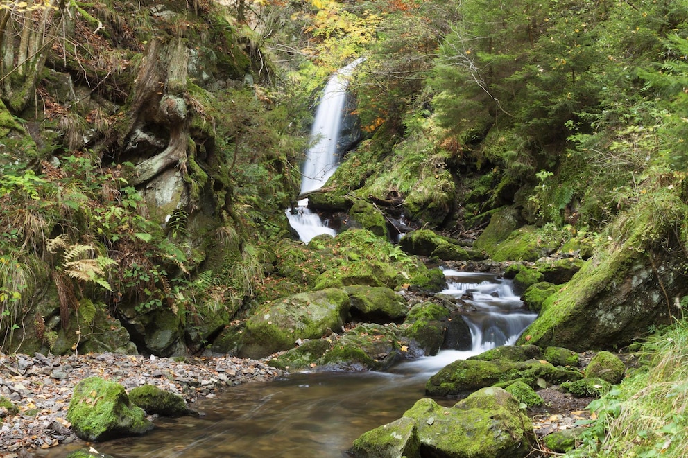 Schwarzwald