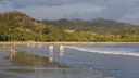 Nicoya